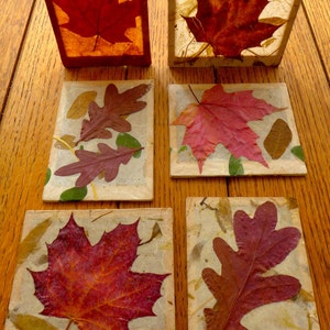 Fall Leaves Nightlight gifts under 30