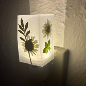 3 sided real pressed flower night light luminary - light sensing night light - small gift - gift for her - plant lover gift