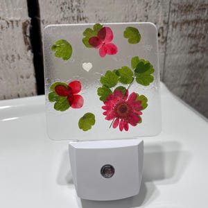 Real Dried Pressed Flower Nightlight